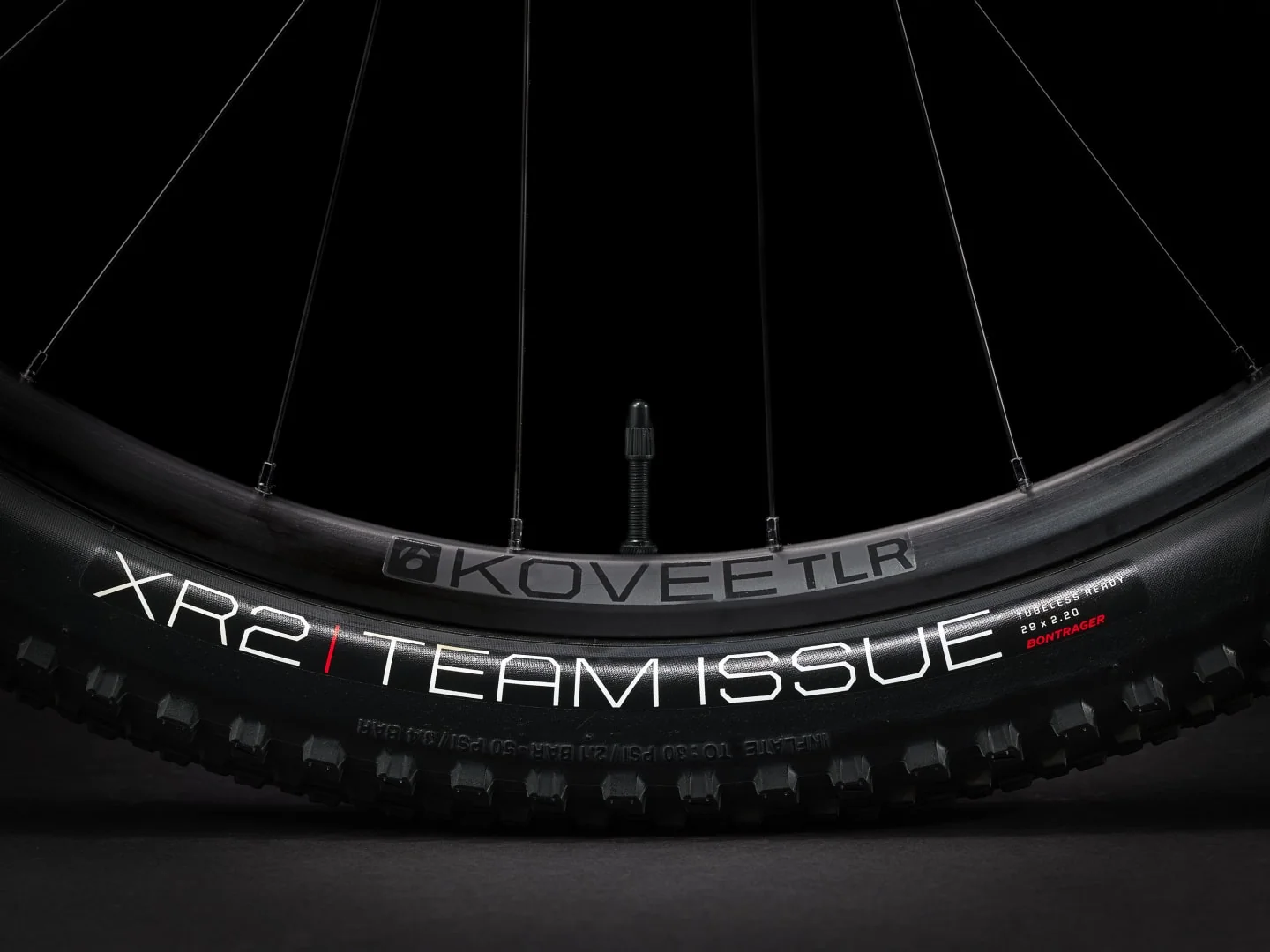 2024 Trek Procaliber 9.5 - Mercury - Image 7