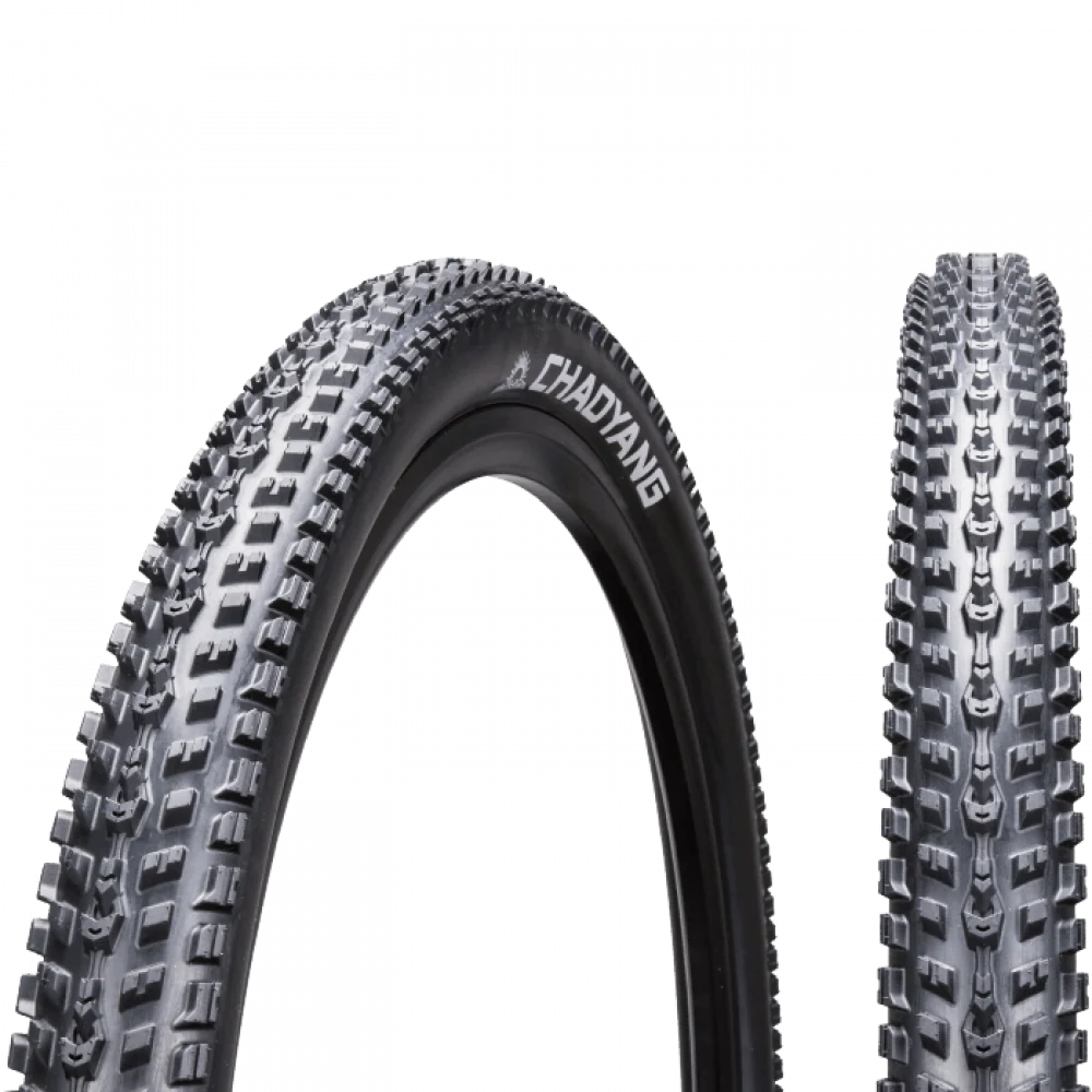 Chaoyang Hornet 29X2.1
